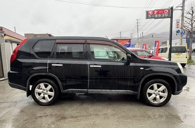 2010 NISSAN X-TRAIL