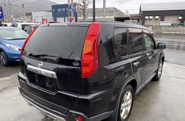 2010 NISSAN X-TRAIL